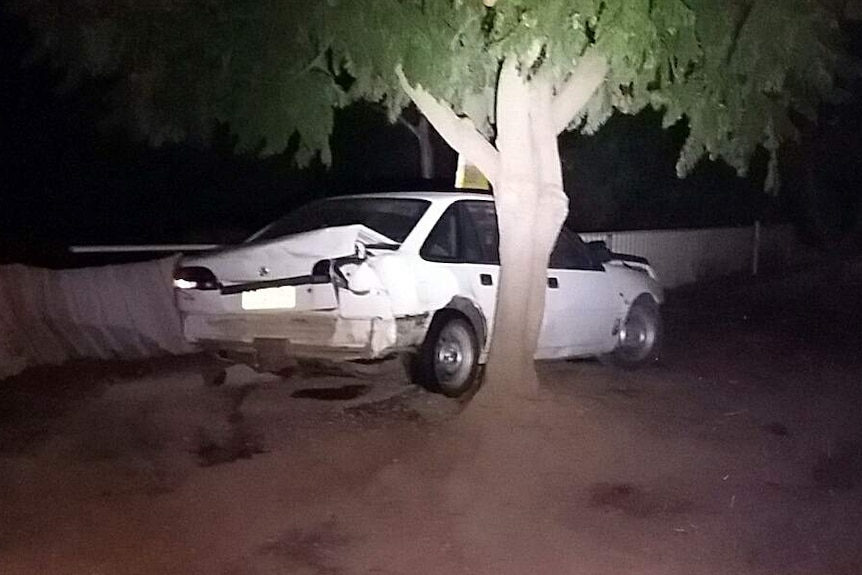 A white sedan rests against tree after collision.