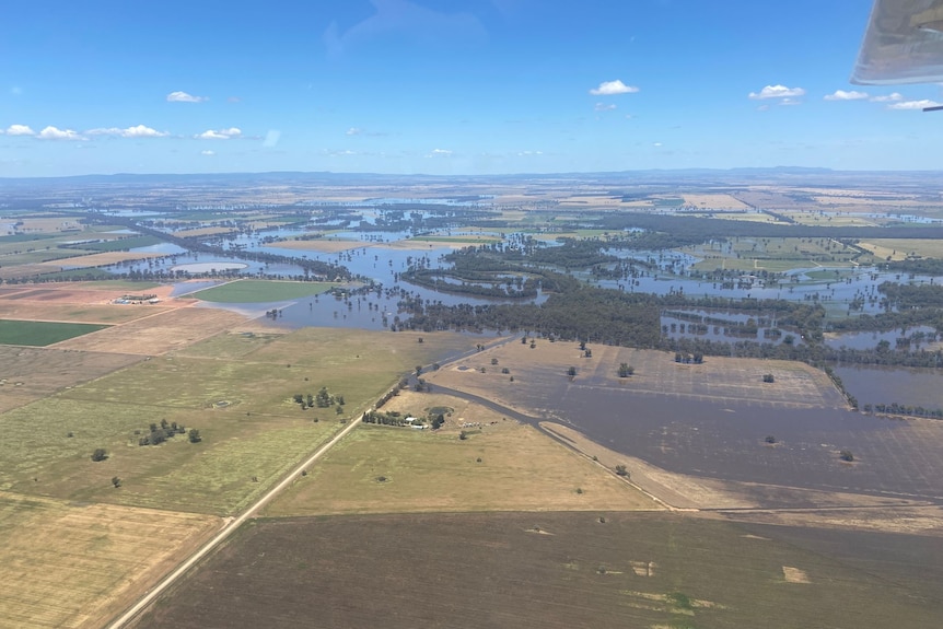 Paddocks with large puddles of water on them.