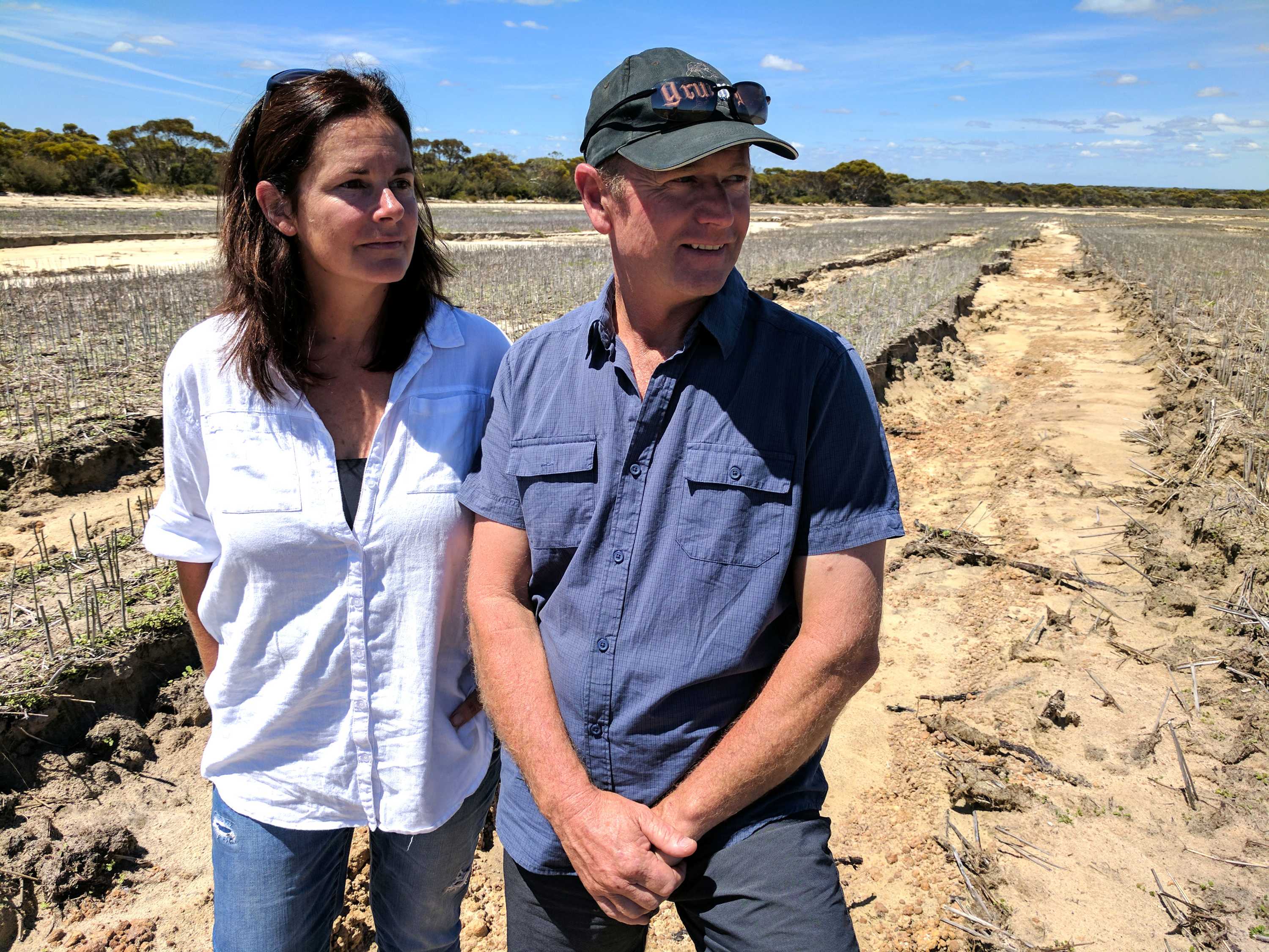 Flood-affected WA Farmers Plead For Faster Relief Funding - ABC News