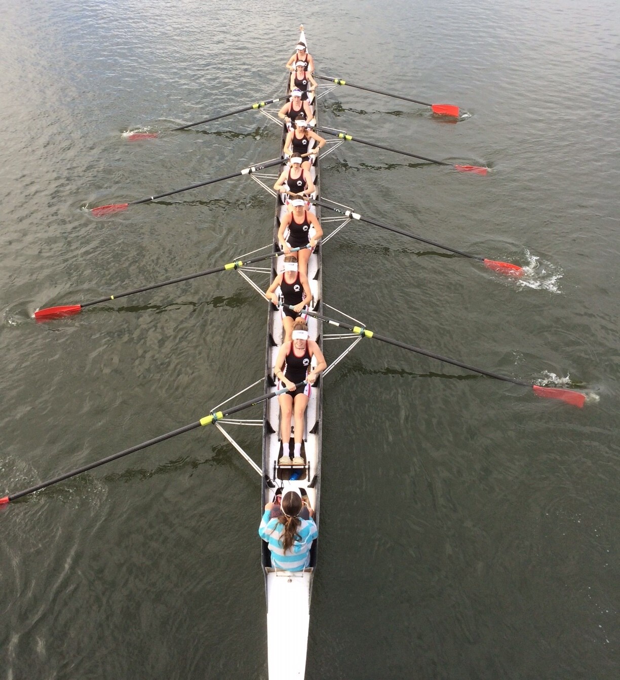 Virtual rowing sessions help Maroochy River rowers grounded by COVID19 ABC News