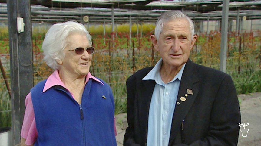 Man and woman standing in front of plants growing under covered structure