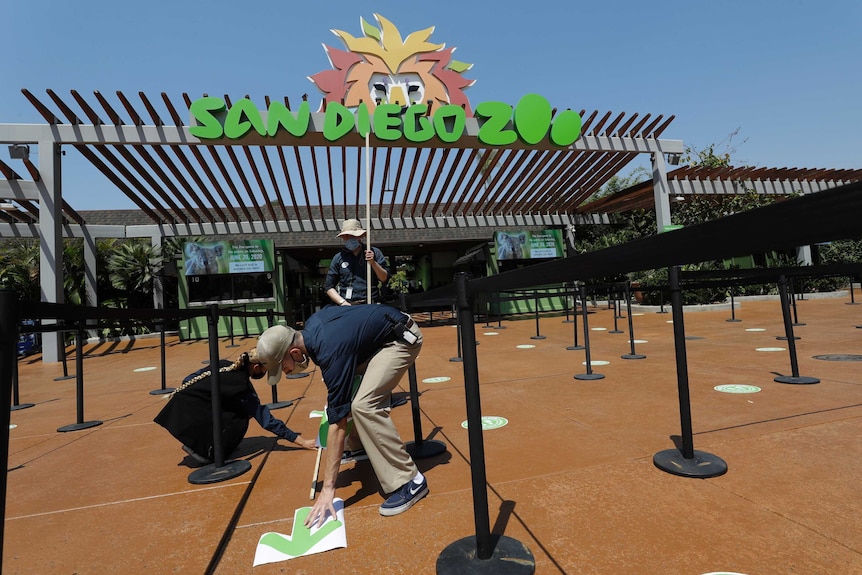 Un employé met un autocollant d'une flèche verte sur le sol à l'entrée du zoo de San Diego