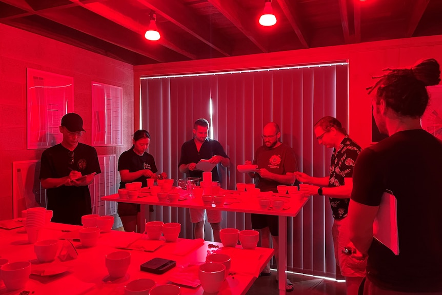 Six people in a room under red light tasting coffee.