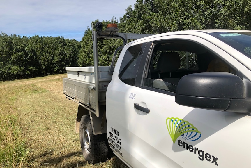 A ute in an orchard with Energex written on it.