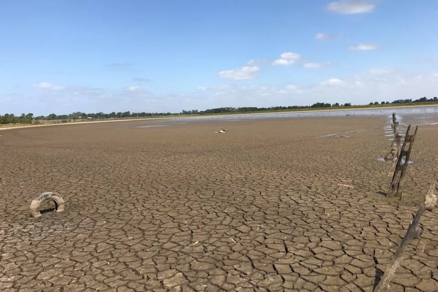 A Lagoon has virtually run dry, leaving a cracked bed of clay under a blue sky.