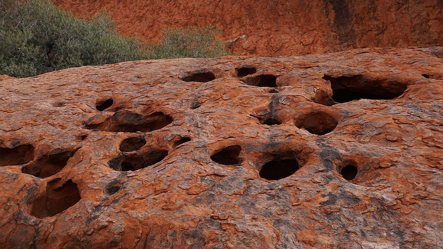 A desert rock formation in outback Australia, with red rocks with circular holes and grey-green shrubs.