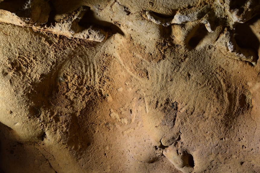 A cave wall marked with engravings made by human fingers