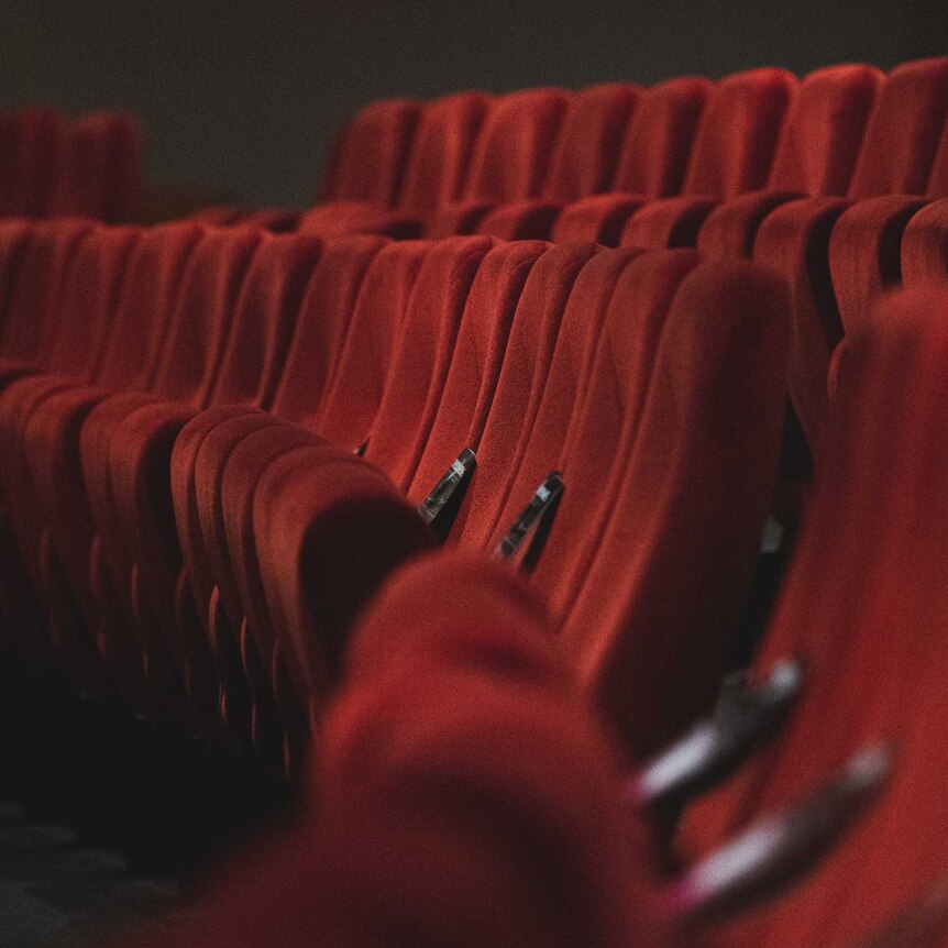 A row of seats in a cinema.