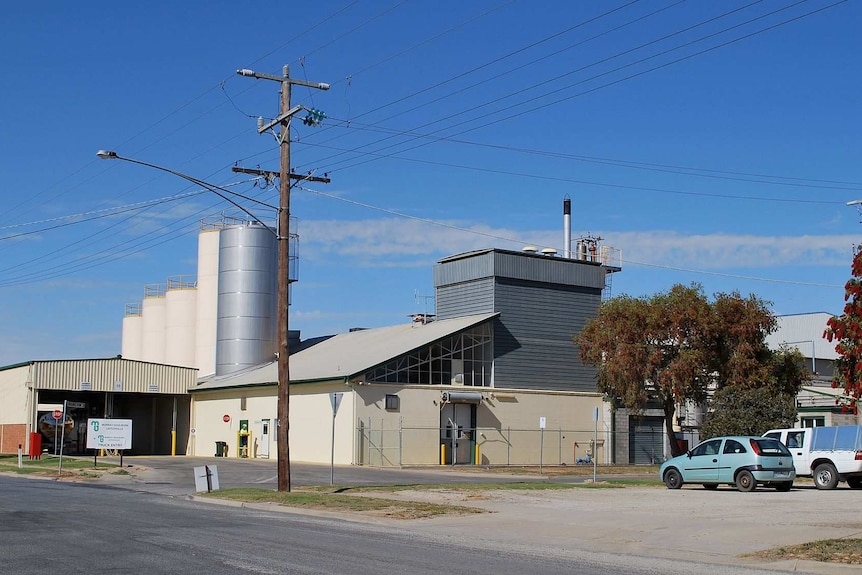 Murray Goulburn factory at Leitchville in northern Victoria.