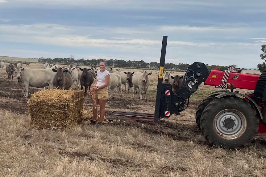 Woman dressed in t-shirt and shorts stands near hay bale and cattle.