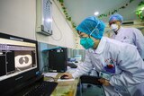 Doctors look at a CT scan of a patient at a hospital in Wuhan in central China's Hubei Province, Thursday, Jan. 30, 2020.