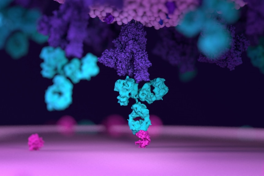 Small molecule between virus and cell