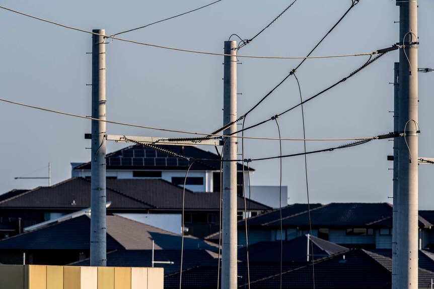 Powerlines in front of a new housing development in outer Sydney.