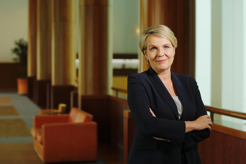 Federal Environment Minister Tanya Plibersek standing with her arms crossed and smiling, in a hallway in Parliament House.