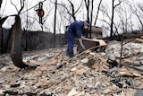 A member of a Disaster Victim Identification Team looks through remains of a burnt out house