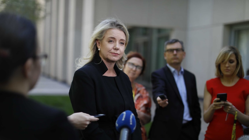 Bridget McKenzie stands in a courtyard surrounded by journalists and microphones