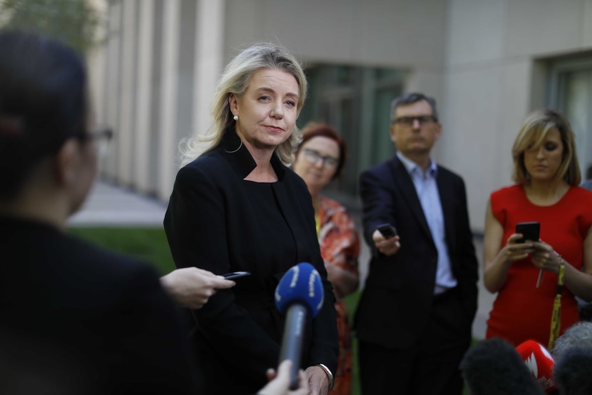 Bridget McKenzie stands in a courtyard surrounded by journalists and microphones