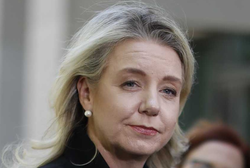 Bridget McKenzie stands in a courtyard surrounded by journalists and microphones