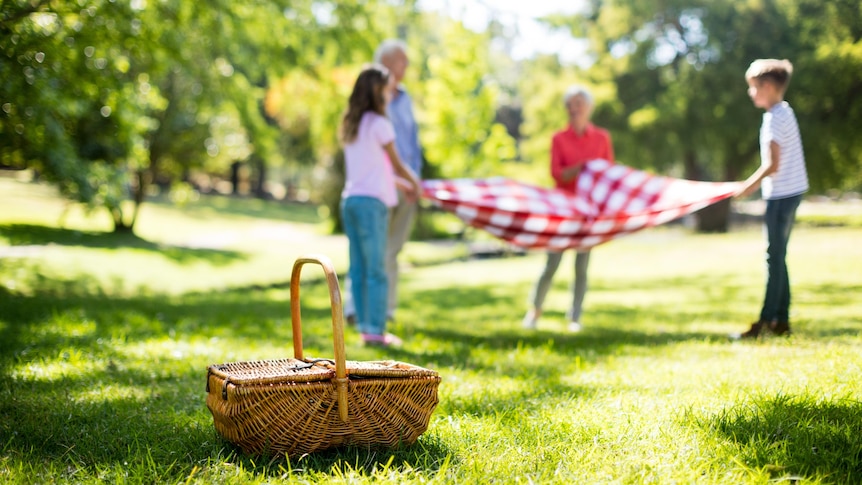 picnic basket with family in the background