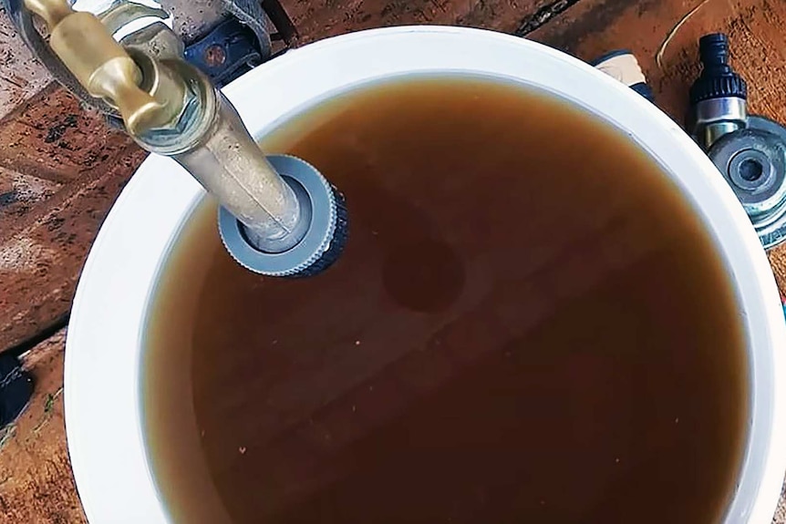 Bucket of brown, murky water sitting under an outdoor tap. It looks disgusting.