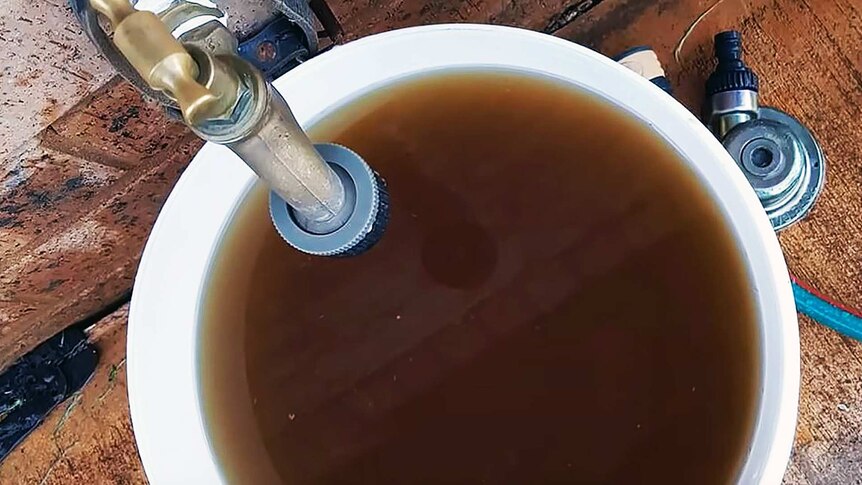 Bucket of brown, murky water sitting under an outdoor tap. It looks disgusting.