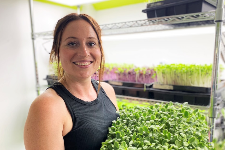 Woman holds tray on microgreens 