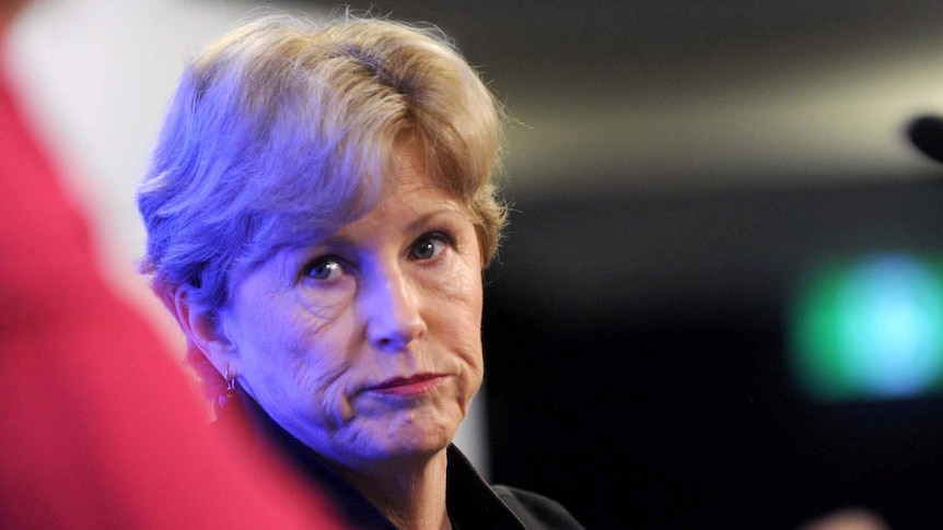 Milne takes aim at Labor (AAP: Alan Porritt)