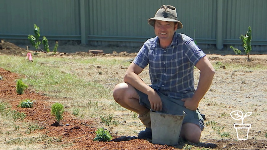 Man in hat and work boots squatting down along side a row of newly planted seedlings