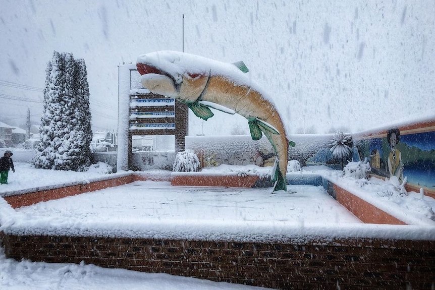 a fish statue underneath heavy snow