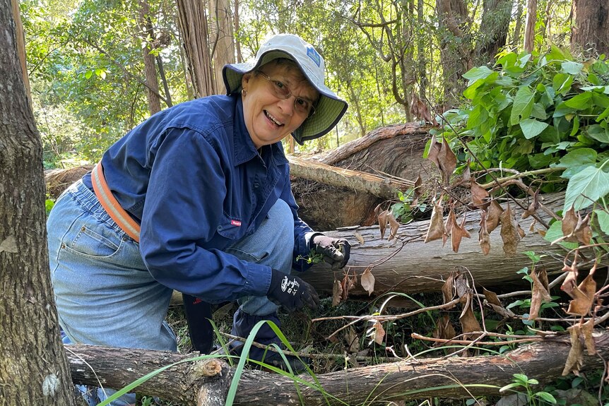 A smiling woman kneels by a big tree trunk and pulls out weeds