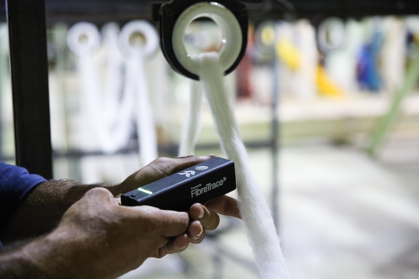 A hand-held scanner going over cotton fibres to trace its origin.