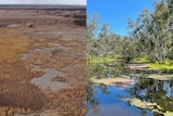 A split image showing a dried-out wasteland and a thriving waterway.