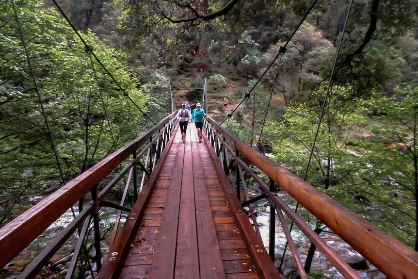 People walking the Western States endurance course.