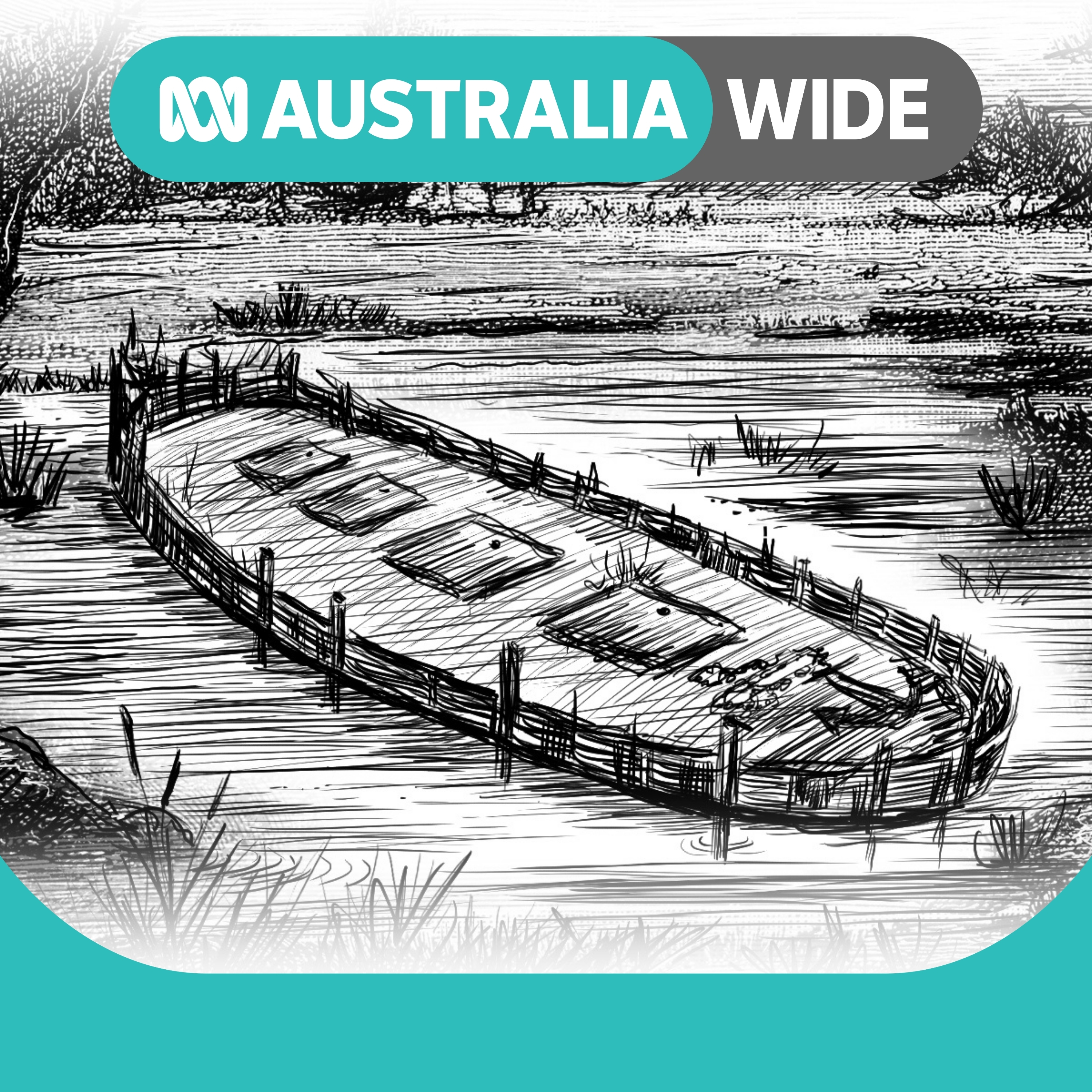 A mysterious wreck, Victorian bird flu response criticised, WA forestry debate, and remembering Dolly Parton