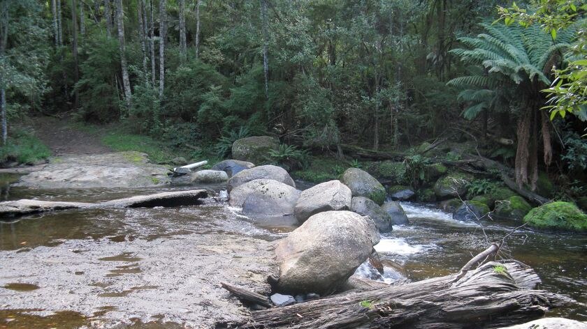 George River, near St Helens on Tasmania's east coast.