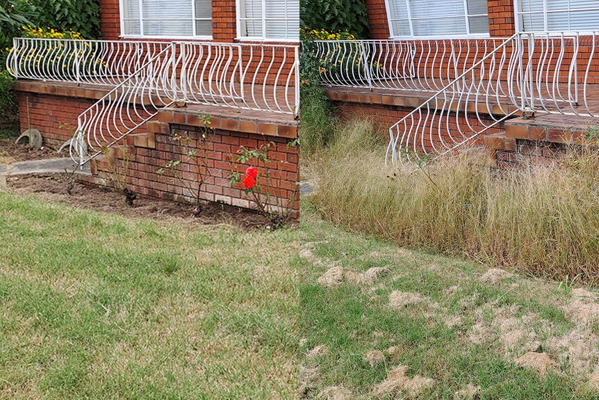 Composite photo: right-hand side shows long grass around footsteps. left-hand side shows the grass cut