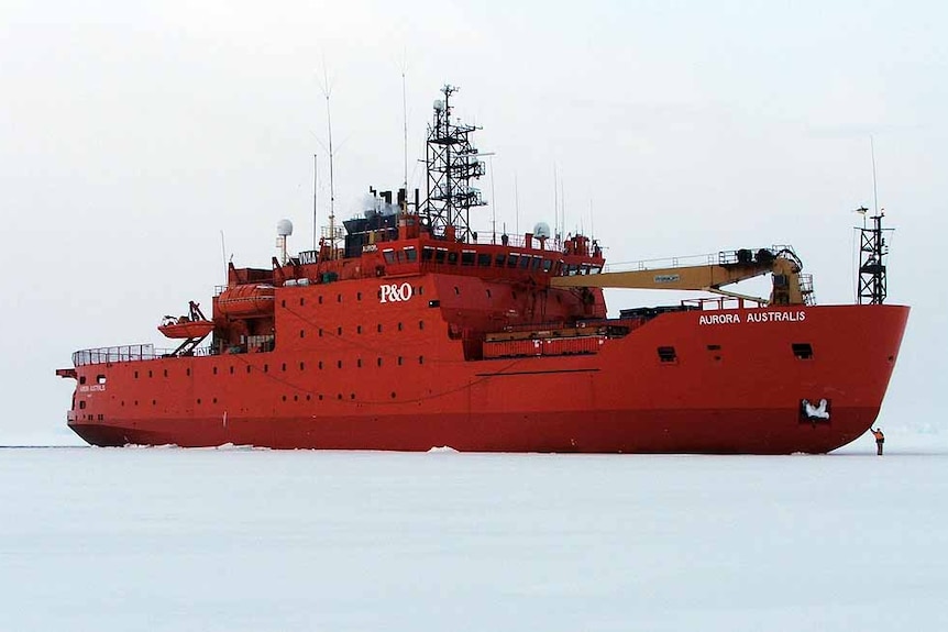 Red icebreaker Aurura Australis on the ice from a side view