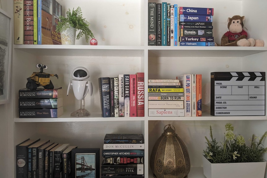 Bookshelf showing books and toys and plants.