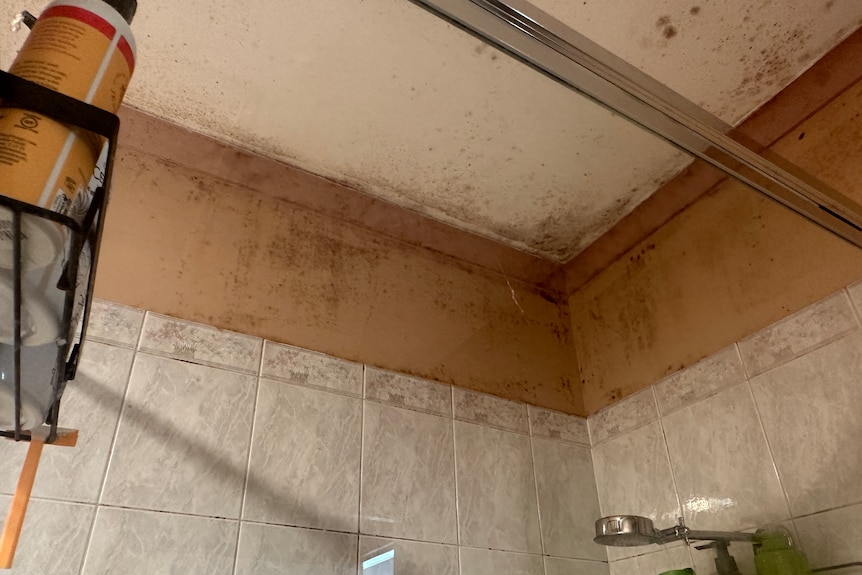 Mould on the ceiling and walls of a bathroom