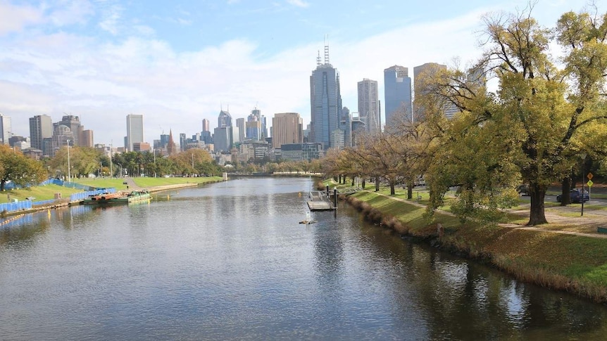 Melbourne's CBD towers sit behind the Yarra River on a sunny day.