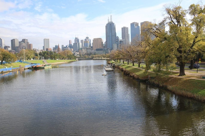Melbourne's CBD towers sit behind the Yarra River on a sunny day.