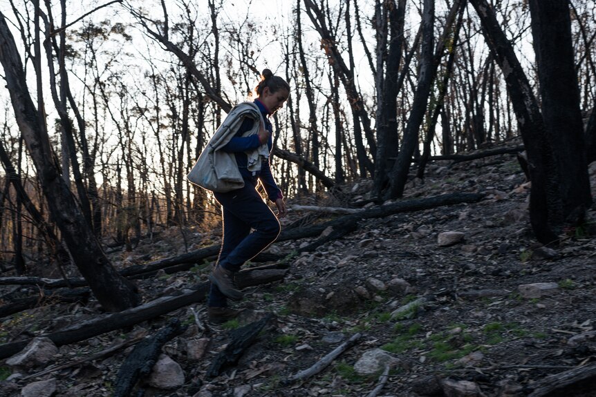Woman walking up rocky hill surrounded by burnt trees carrying an empty bag.