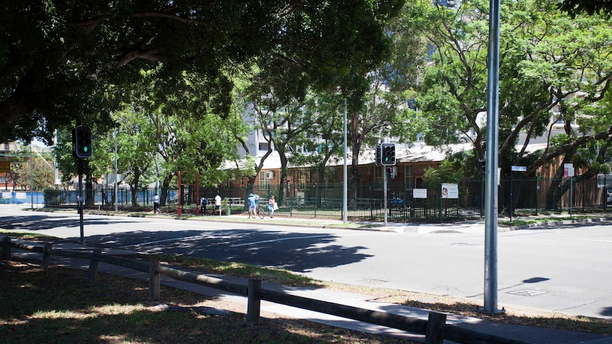A tree lined street in Parramatta