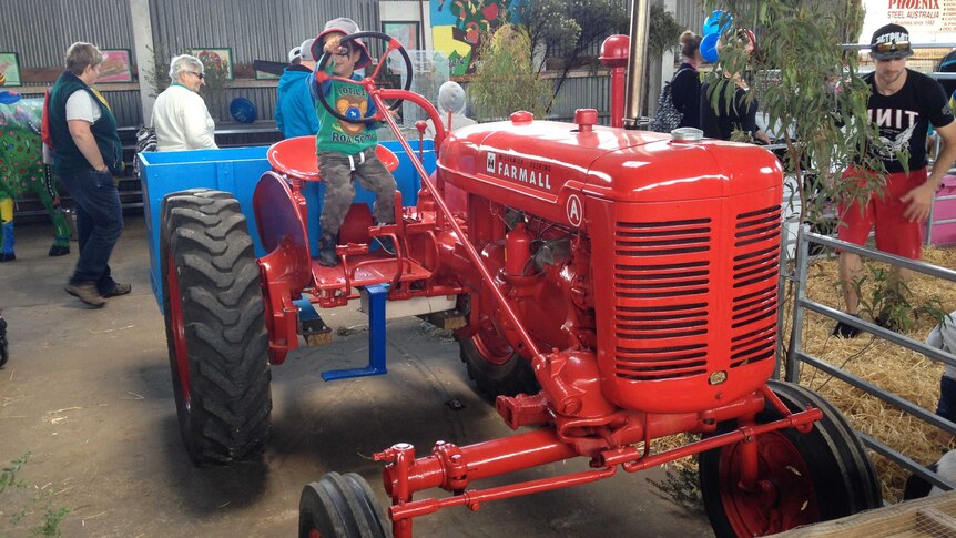 A young boy plays on an antique tractor at the 2015 Devonport Show.