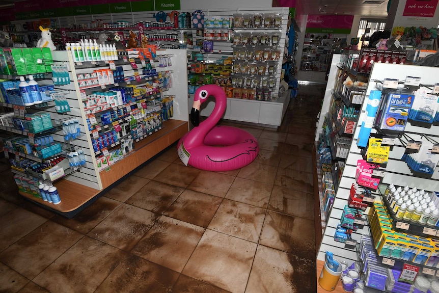 A pink inflatable flamingo sits in the centre of a storm damaged pharmacy in Airlie Beach