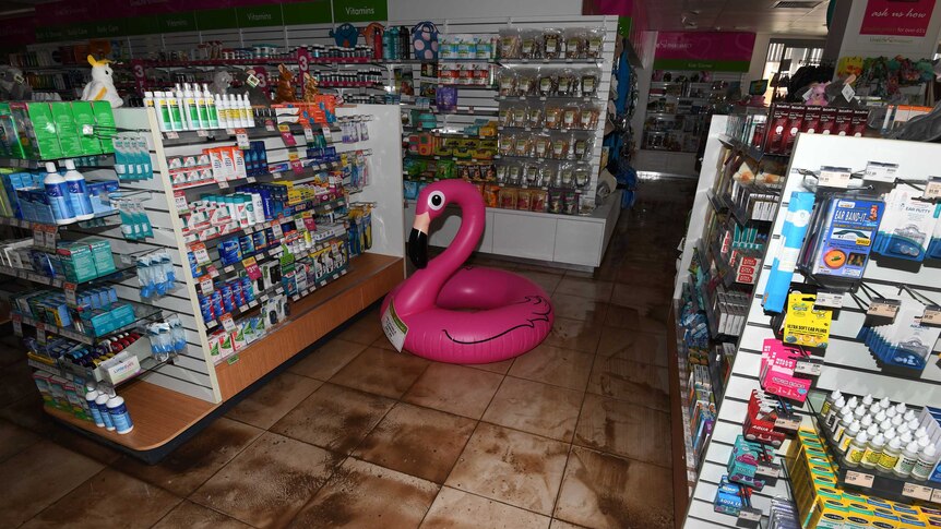 A pink inflatable flamingo sits in the centre of a storm damaged pharmacy in Airlie Beach