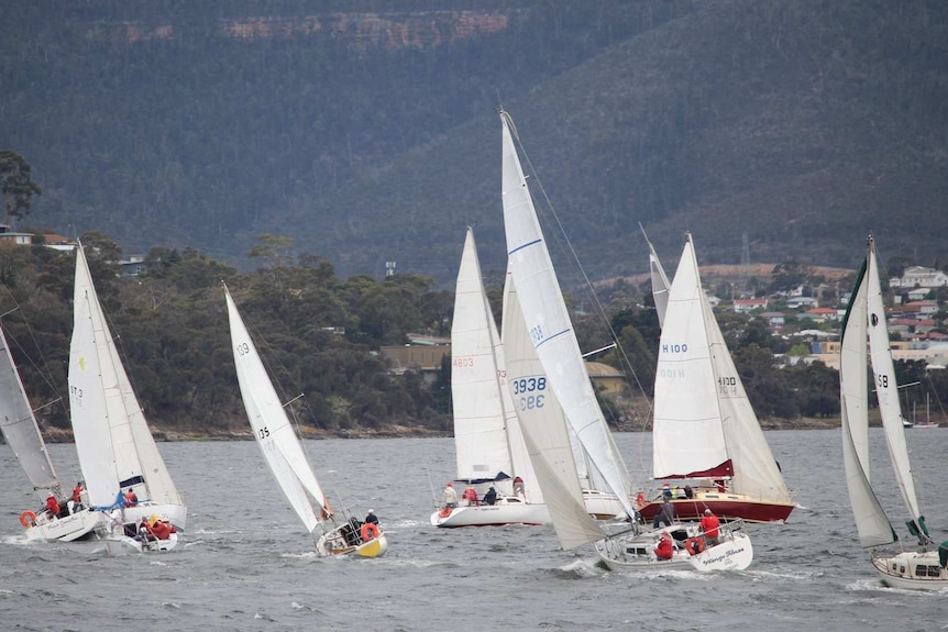 Yachts competing on a river.