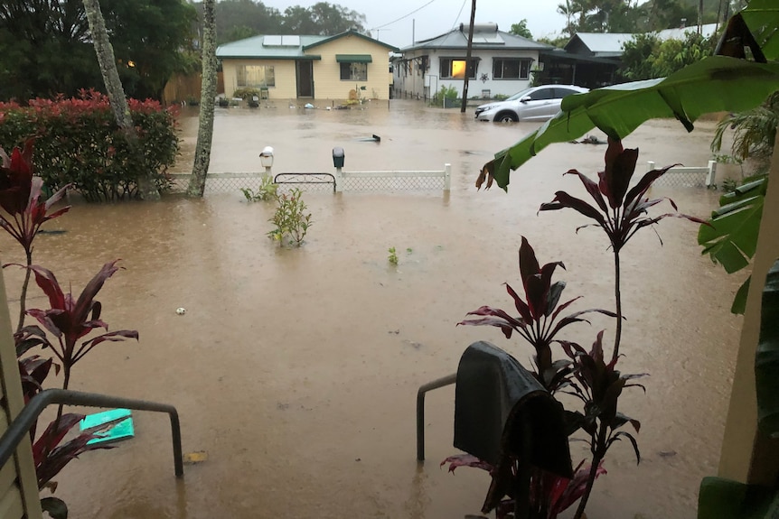 Flooded front yard. 