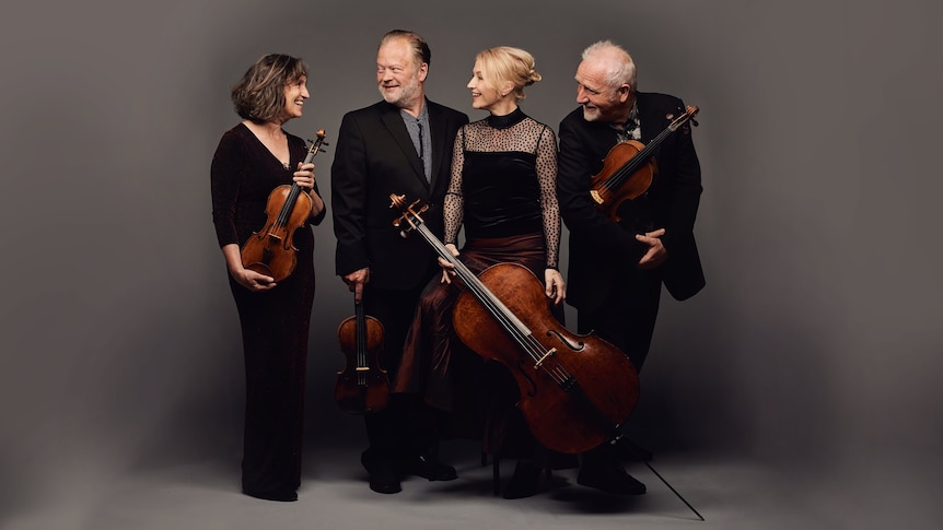 a string quartet stand against a grey background wearing dark formal clothes
