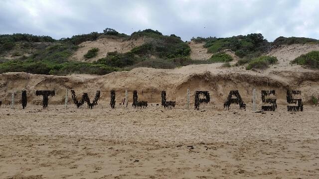 A cloudy winter sky above a beach, where someone has spelt out 'IT WILL PASS' with seaweed.